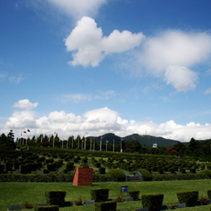 UN Memorial Cemetery 대표사진