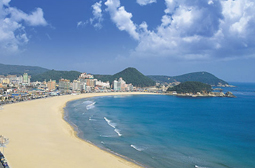 송정해수욕장 전경
